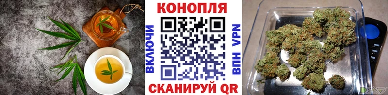 закладки  Сасово  Cannafood конопля 