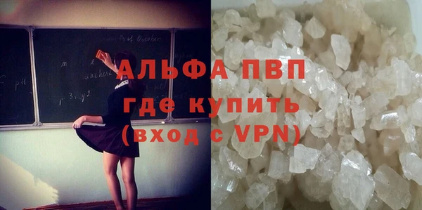 PSILOCYBIN Навашино