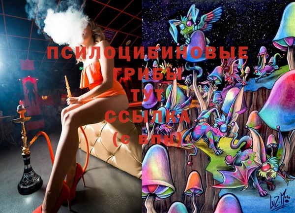 спайс Надым