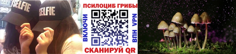 где купить Сасово Галлюциногенные грибы мицелий